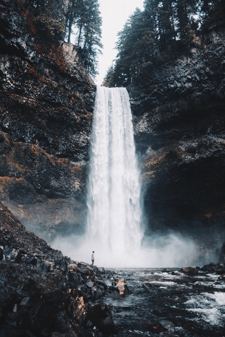 Air terjun badan air
 alam