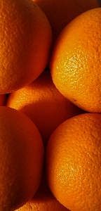 Oranges citrus natural foods orange Photo