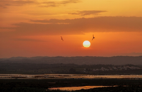 Sun sky horizon sunset Photo