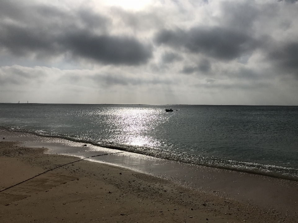 Alami langit badan air
 laut