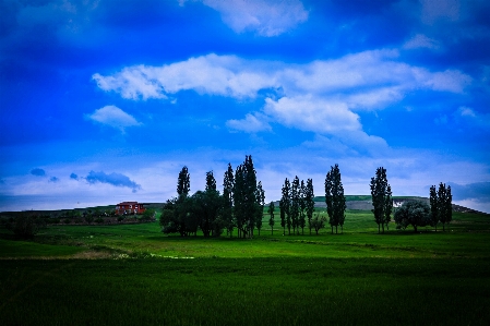 Nature landscape field grass Photo