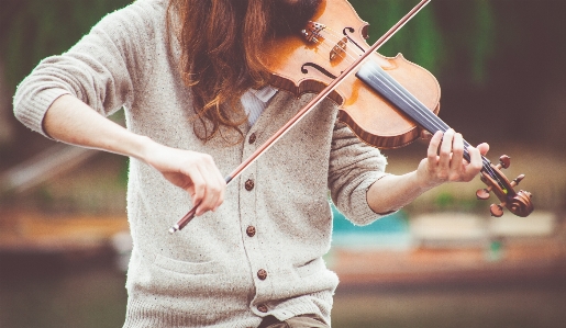 Foto Pemain biola
 biola alat musik keluarga