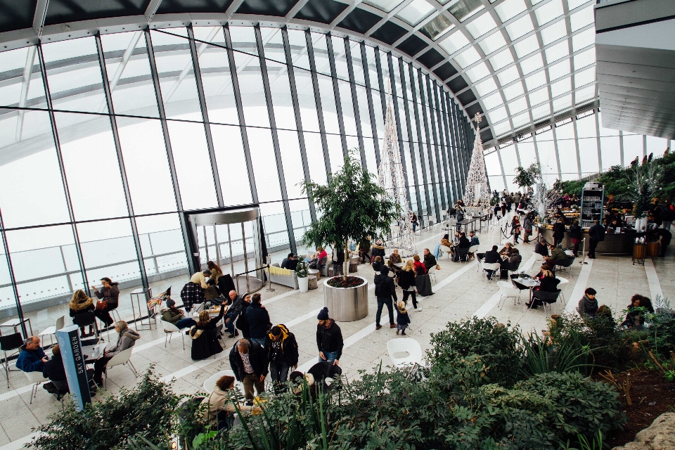 Architektura budynek botanika
 lobby