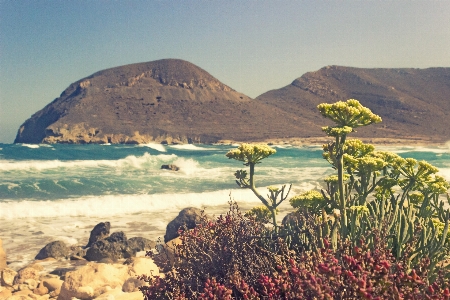 Body of water coast sea shore Photo