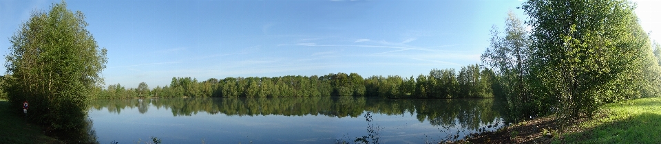 Sea trees natural landscape body of water