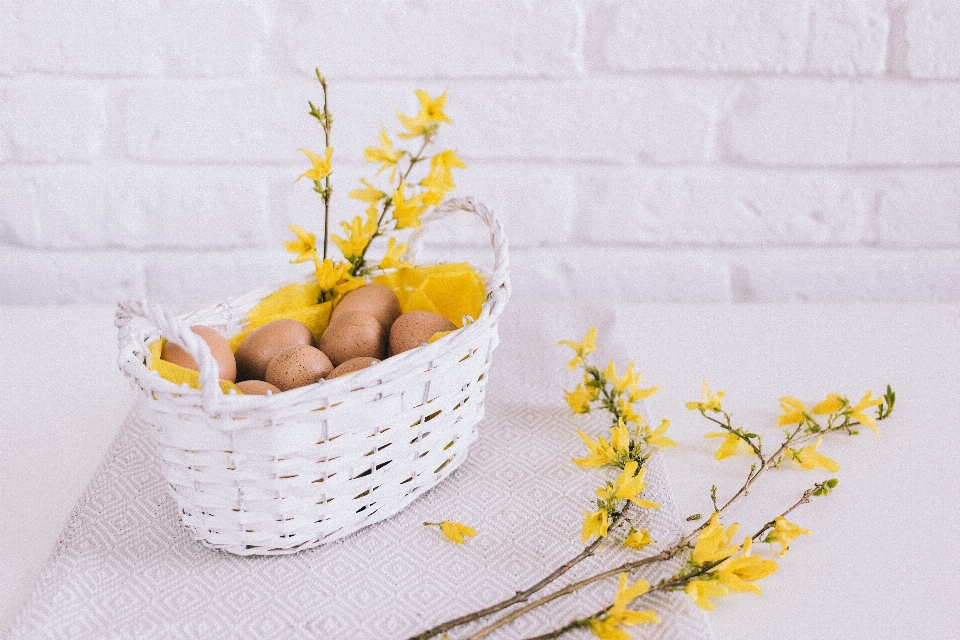 Yellow twig branch cut flowers