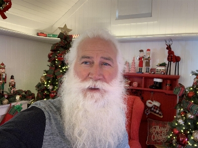 Christmas facial hair beard Photo