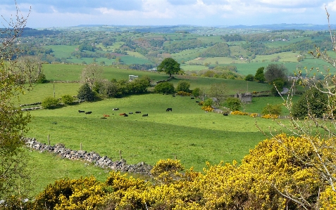 Country natural landscape nature grassland Photo