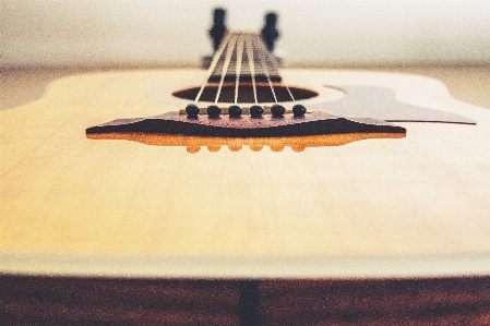 Foto Strumenti a corde pizzicate
 strumento corda
 chitarra musicale