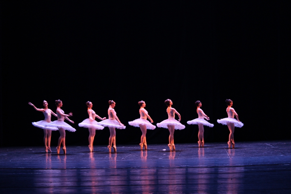 Arti dello spettacolo
 coreografia
 divertimento danza