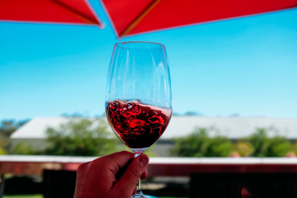 Stielgläser
 glas weinglas rot