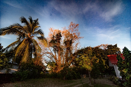 Landscape sky tree nature Photo