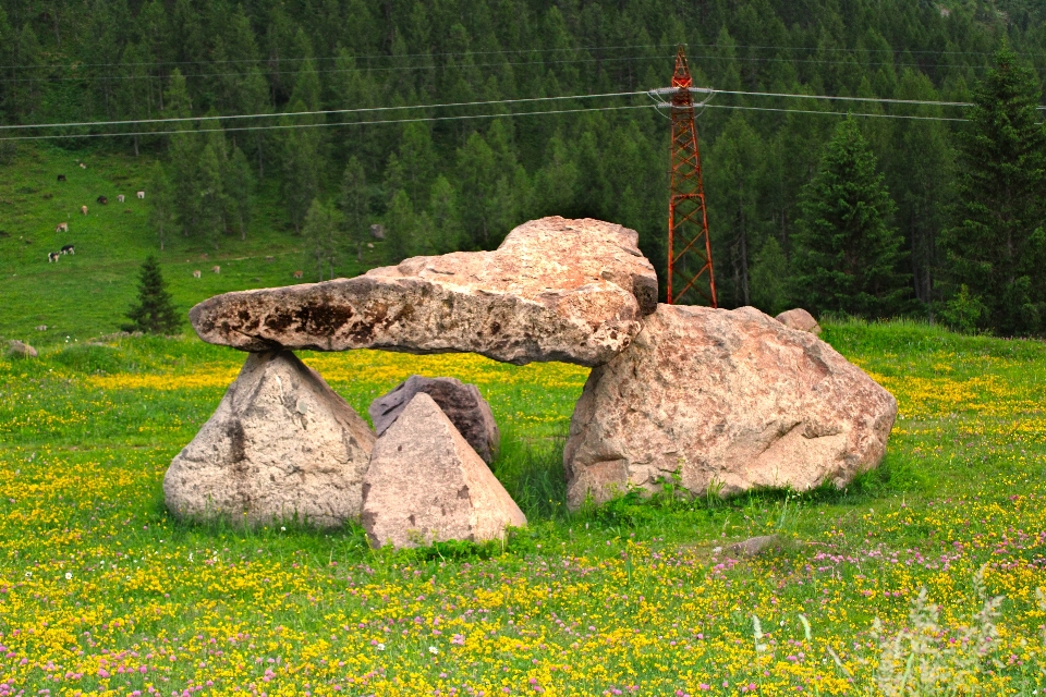 Doğal rock manzara
 çayır
