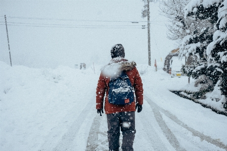 Photo Neige hiver gelé tempête de neige
