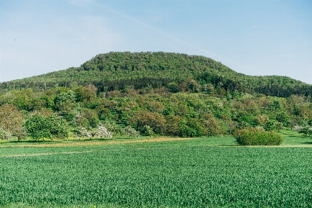 ドイツ ドイツ
 農業 風景 写真