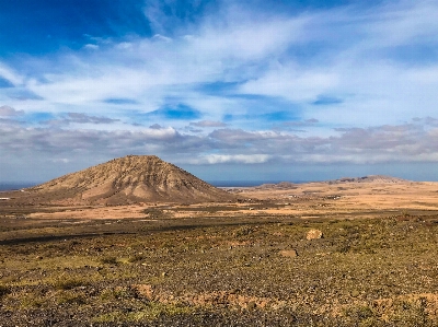 Фото канарейка острова синий небо