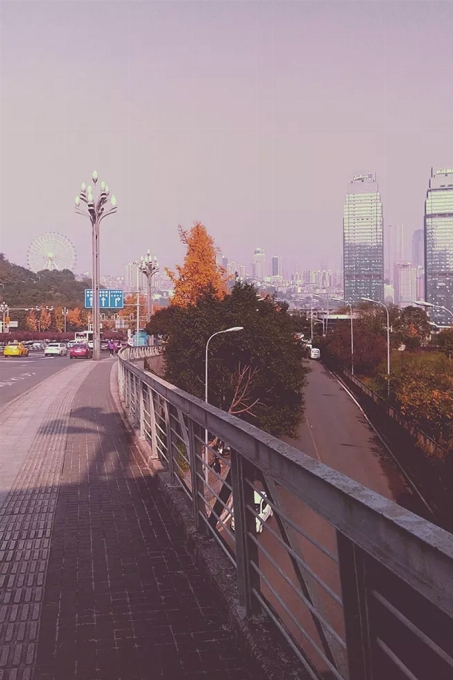 Chongqing
 atmosphärisches phänomen
 himmel baum