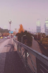 Chongqing atmospheric phenomenon sky tree Photo