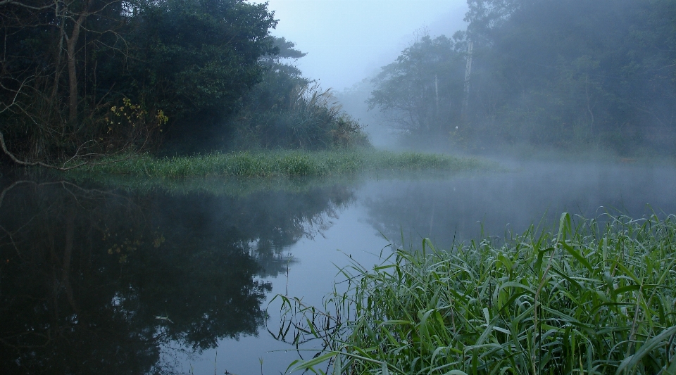 多雾路段 水 湿地 早晨