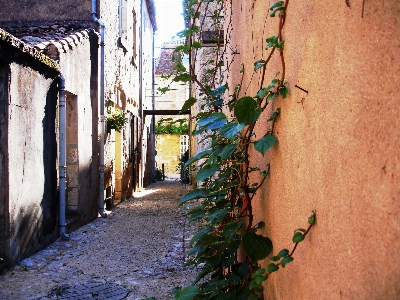 Small street alley wall Photo