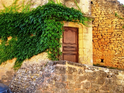 Stone house wall green Photo