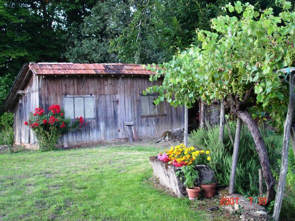 Di legno casa giardino fiori