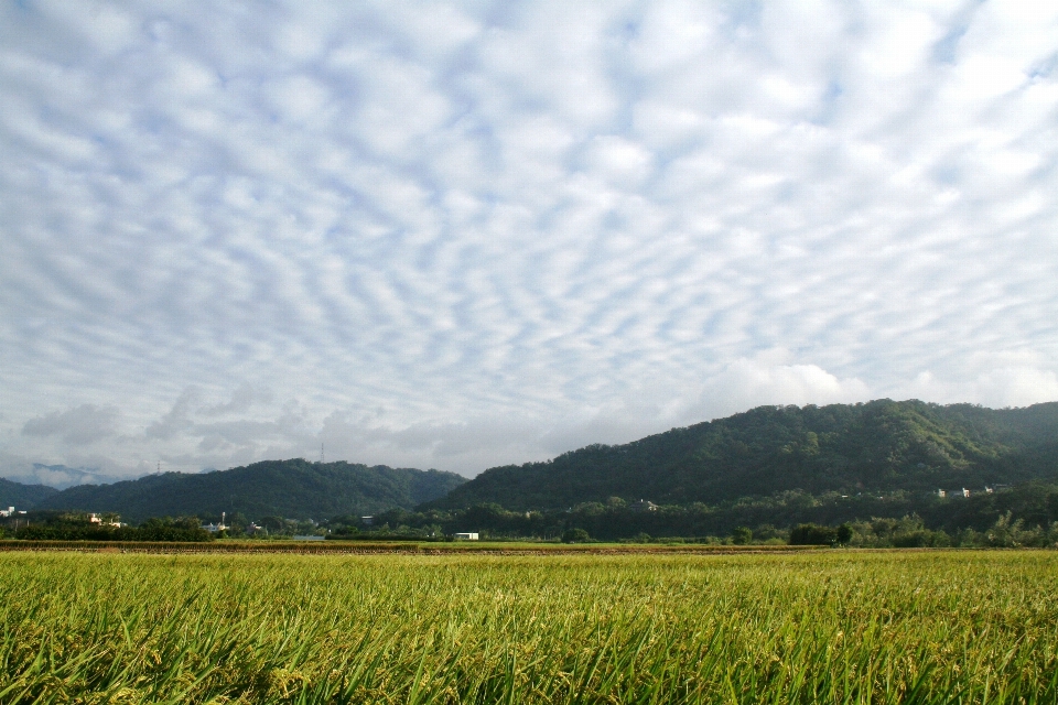 Wolke reis himmel hsinchu
