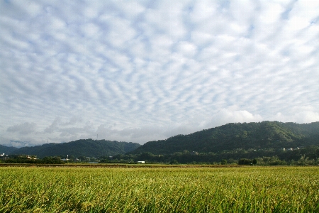 Cloud rice sky hsinchu Photo