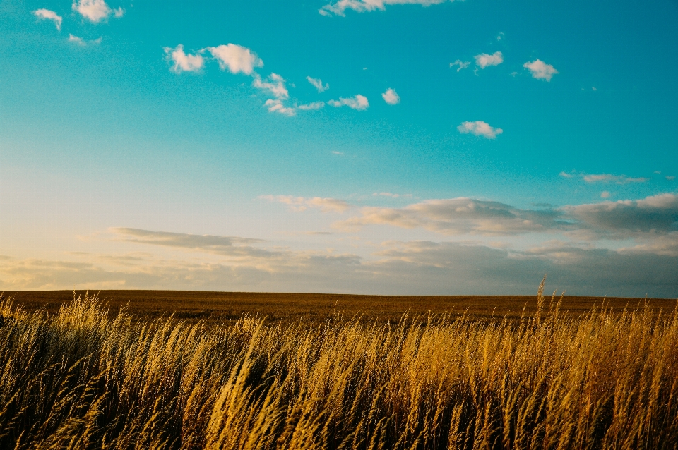 Sky natural landscape nature grassland