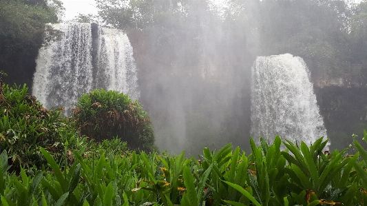 Foto Apa
 alam luar biasa
 hijau