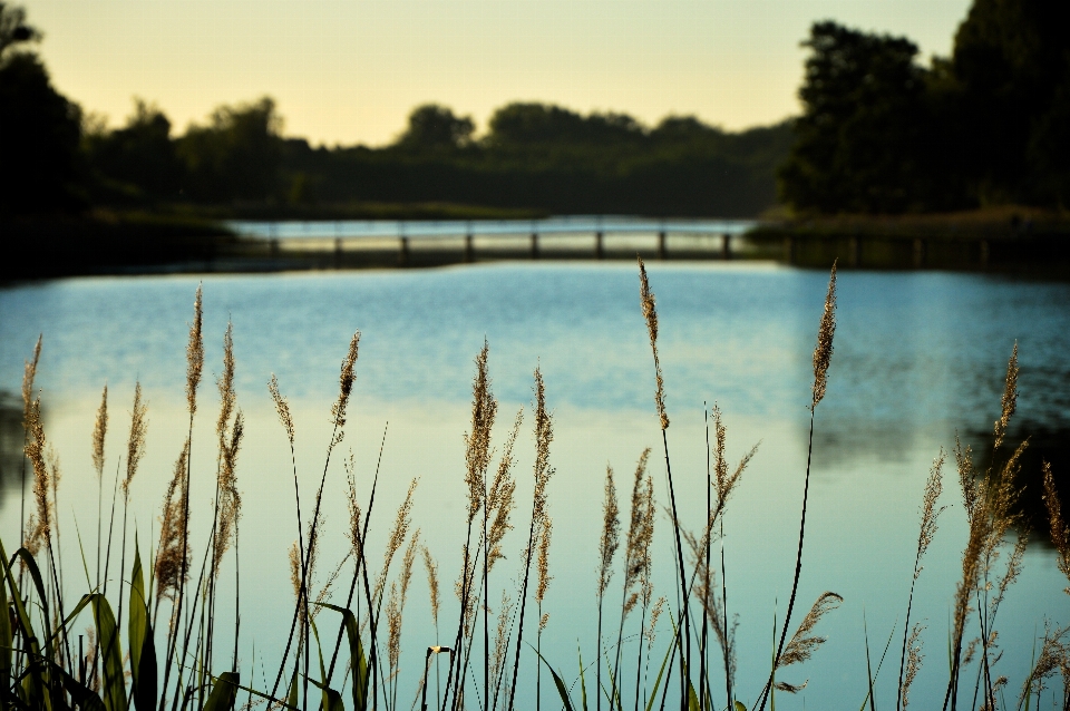 Natural landscape water nature sky