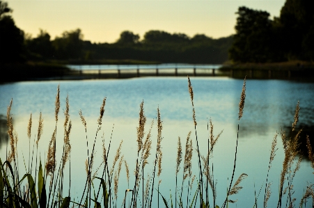 Natural landscape water nature sky Photo