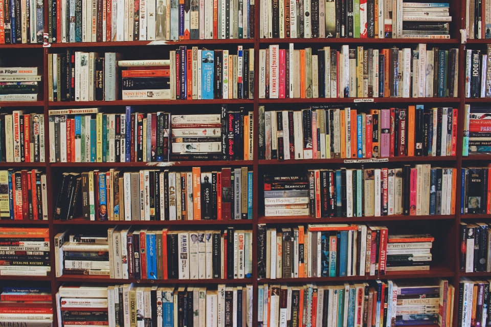 Shelving bookcase shelf book