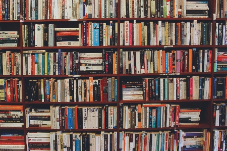 Shelving bookcase shelf book Photo