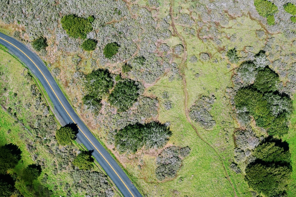 Aerial photography water grass ecoregion