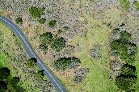 Aerial photography water grass ecoregion Photo