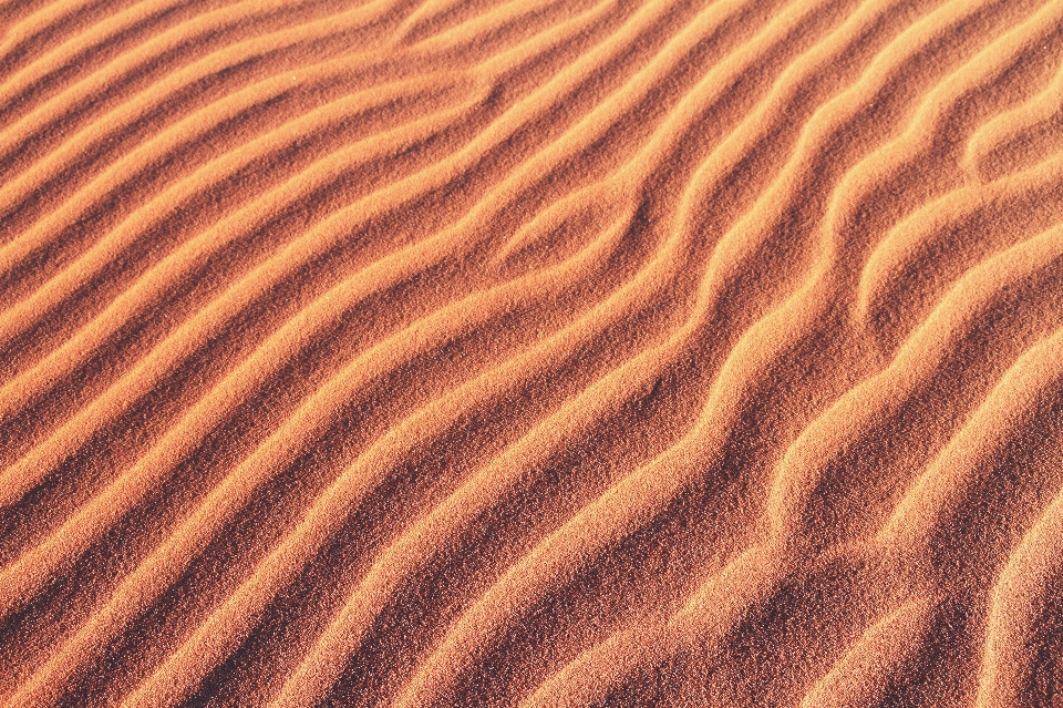 Sabbia ambiente naturale
 deserto erg
