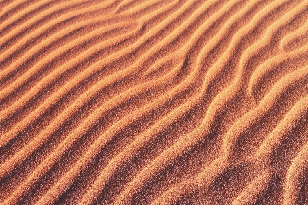 Foto Sabbia ambiente naturale
 deserto erg
