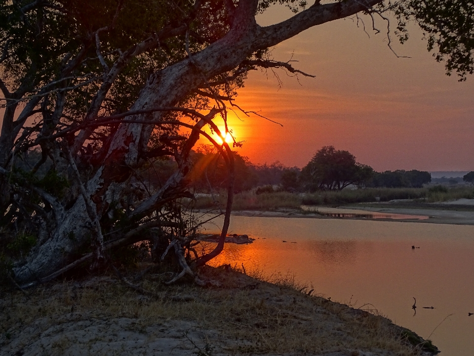 Sunset zambezi africa sky