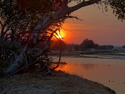 Gün batımı zambezi
 afrika gökyüzü Fotoğraf