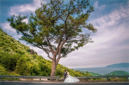 Nary wedding photography photo dress Photo