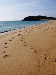 Foto Cetakan kaki
 kaki laut pantai