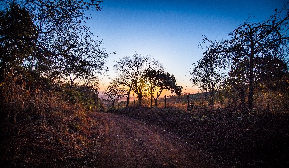 Sunset brazil sky natural landscape