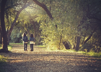 People in nature tree natural landscape Photo