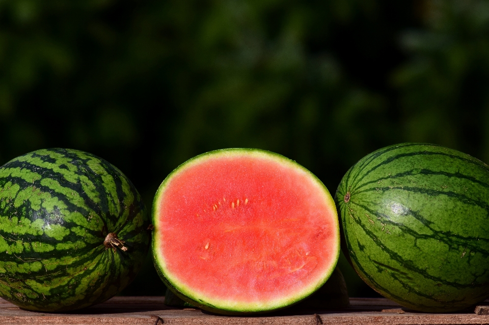 Melon pastèque citrullus
 fruit