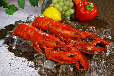 American lobster homarus food Photo