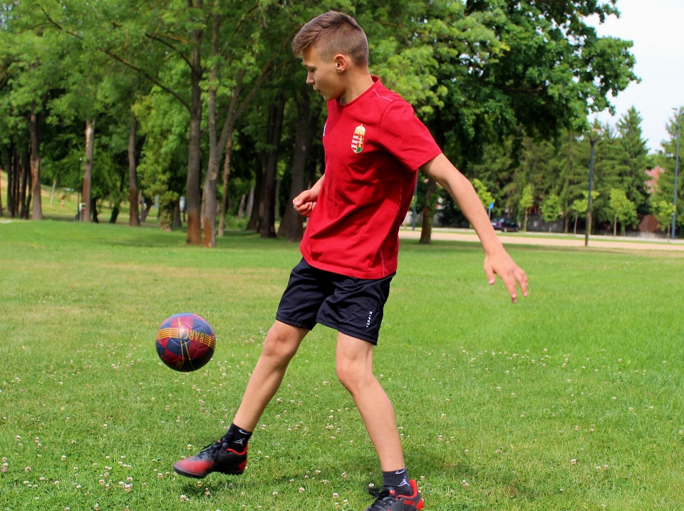 スポーツ ボール サッカー ボールゲーム
