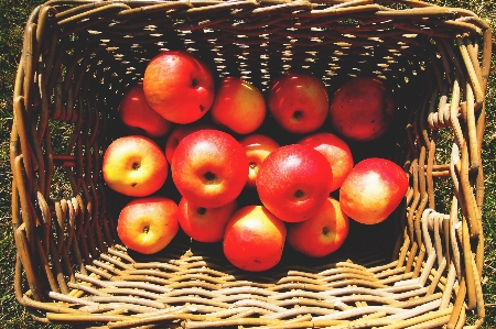 Food fruit local apple Photo