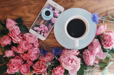 Foto Comida rosa flor xícara