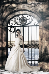 Wedding dress gown bride Photo